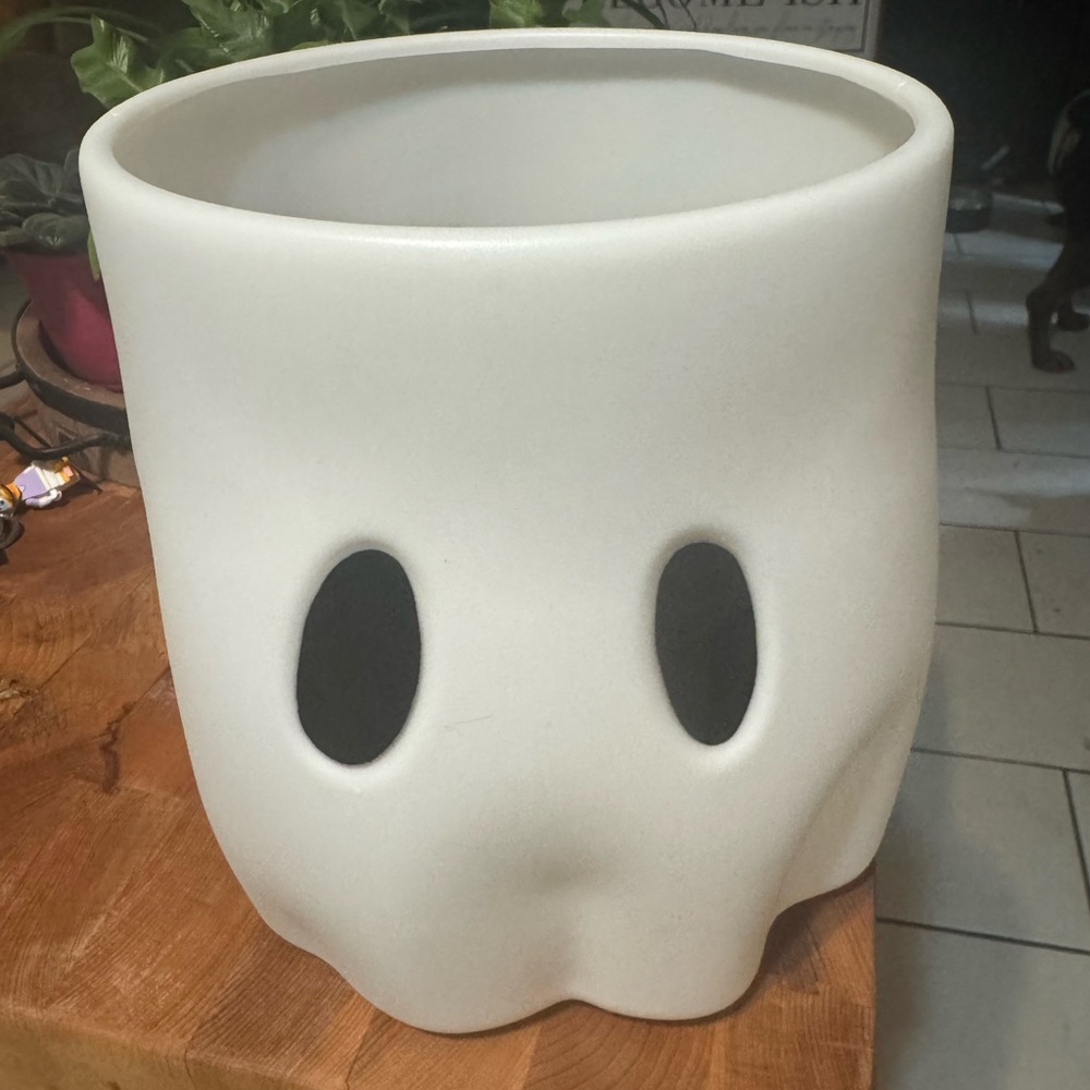 White Ghost Planter Medium Container